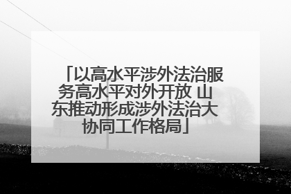 以高水平涉外法治服务高水平对外开放 山东推动形成涉外法治大协同工作格局