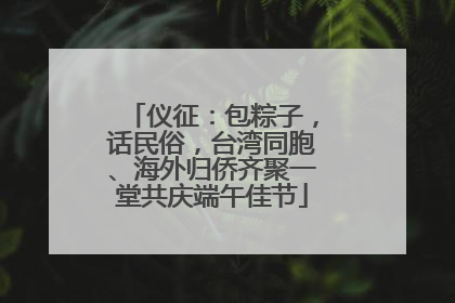 仪征：包粽子，话民俗，台湾同胞、海外归侨齐聚一堂共庆端午佳节