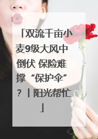 双流千亩小麦9级大风中倒伏 保险难撑“保护伞”？丨阳光帮忙
