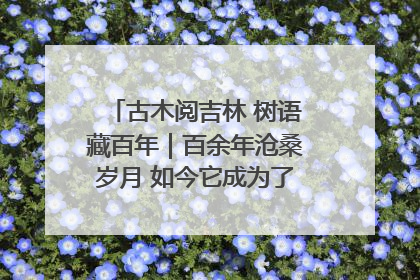 古木阅吉林 树语藏百年｜百余年沧桑岁月 如今它成为了“镇园之宝”
