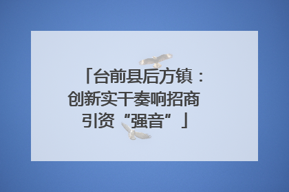台前县后方镇：创新实干奏响招商引资“强音”