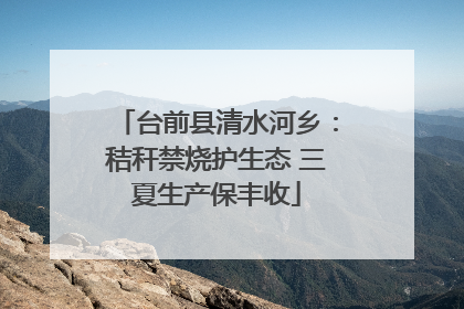 台前县清水河乡：秸秆禁烧护生态 三夏生产保丰收
