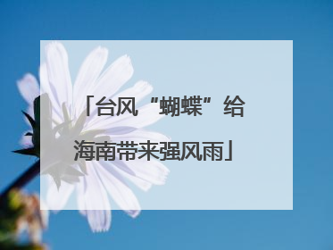 台风“蝴蝶”给海南带来强风雨