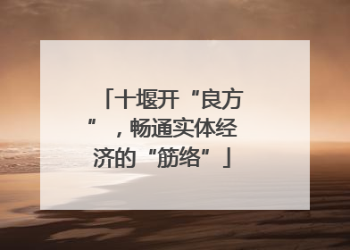 十堰开“良方”，畅通实体经济的“筋络”