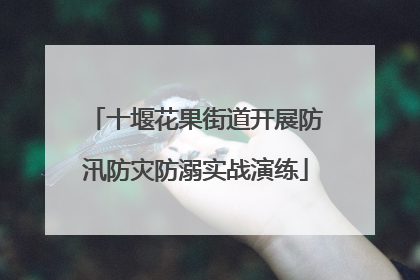 十堰花果街道开展防汛防灾防溺实战演练