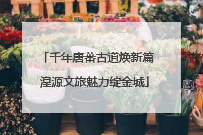 千年唐蕃古道焕新篇 湟源文旅魅力绽金城