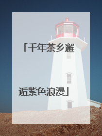 千年茶乡邂逅紫色浪漫