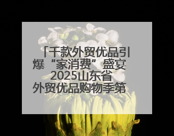 千款外贸优品引爆“家消费”盛宴 2025山东省外贸优品购物季第三期圆满收官