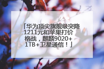 华为顶尖旗舰级突降1211元和苹果打价格战，麒麟9020+1TB+卫星通信！