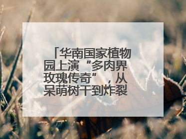 华南国家植物园上演“多肉界玫瑰传奇”，从呆萌树干到炸裂种子全是戏！