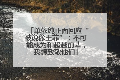 单依纯正面回应“被说像王菲”：不可能成为和超越前辈，我想致敬他们