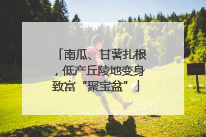 南瓜、甘薯扎根，低产丘陵地变身致富“聚宝盆”