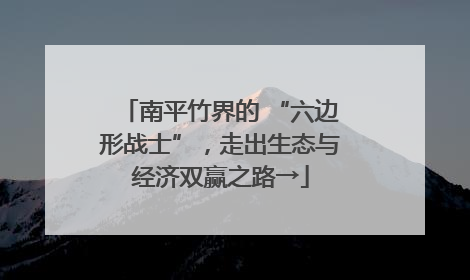 南平竹界的 “六边形战士”，走出生态与经济双赢之路→