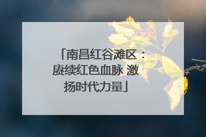 南昌红谷滩区：赓续红色血脉 激扬时代力量