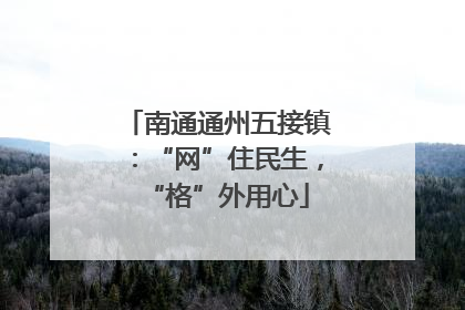南通通州五接镇：“网”住民生，“格”外用心