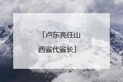 卢东亮任山西省代省长