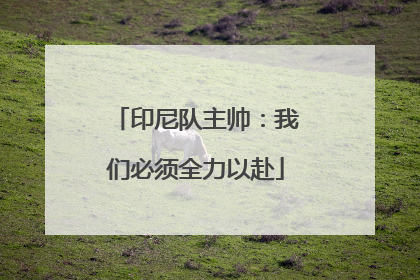 印尼队主帅：我们必须全力以赴
