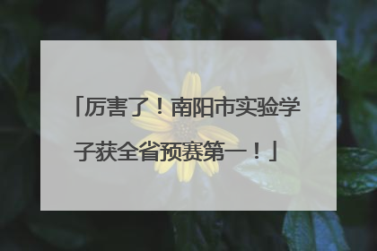 厉害了！南阳市实验学子获全省预赛第一！