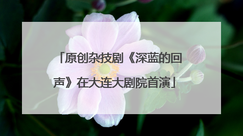 原创杂技剧《深蓝的回声》在大连大剧院首演
