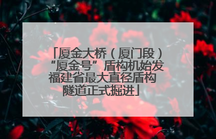 厦金大桥（厦门段）“厦金号”盾构机始发 福建省最大直径盾构隧道正式掘进