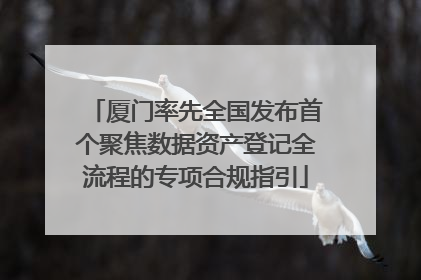 厦门率先全国发布首个聚焦数据资产登记全流程的专项合规指引