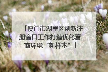 厦门市湖里区创新注册窗口工作打造优化营商环境“新样本”