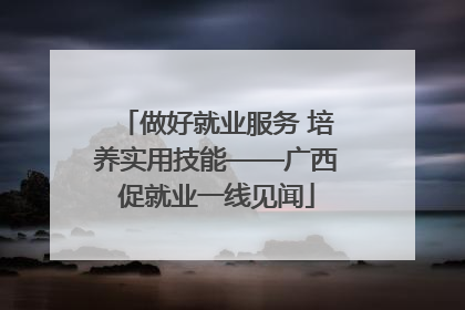 做好就业服务 培养实用技能——广西促就业一线见闻