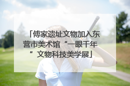 傅家遗址文物加入东营市美术馆“一眼千年”文物科技美学展