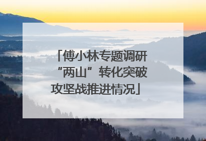 傅小林专题调研“两山”转化突破攻坚战推进情况