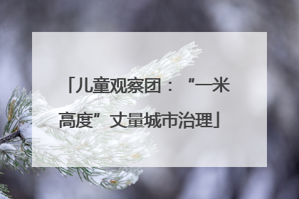儿童观察团：“一米高度”丈量城市治理