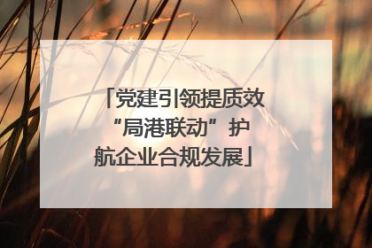 党建引领提质效 “局港联动”护航企业合规发展