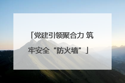 党建引领聚合力 筑牢安全“防火墙”