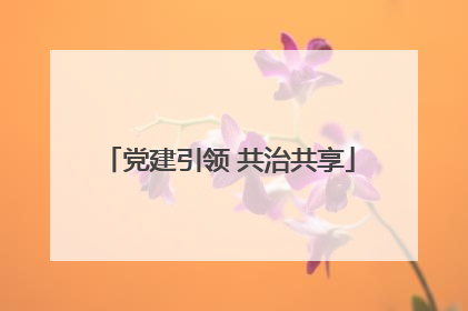 党建引领 共治共享