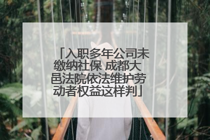 入职多年公司未缴纳社保 成都大邑法院依法维护劳动者权益这样判
