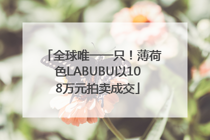 全球唯一一只！薄荷色LABUBU以108万元拍卖成交
