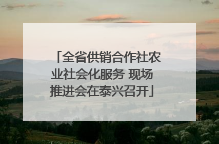 全省供销合作社农业社会化服务 现场推进会在泰兴召开