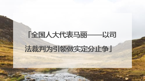 全国人大代表马丽——以司法裁判为引领做实定分止争