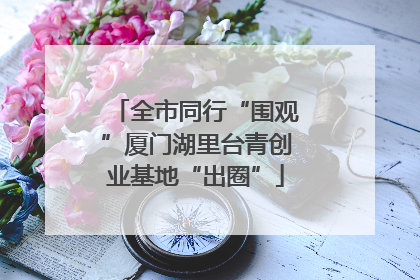 全市同行“围观”厦门湖里台青创业基地“出圈”