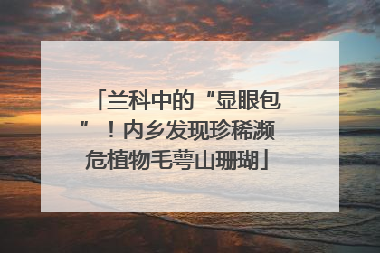 兰科中的“显眼包”！内乡发现珍稀濒危植物毛萼山珊瑚