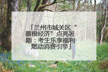 兰州市城关区“票根经济”点亮暑期：考生乐享福利 燃动消费引擎