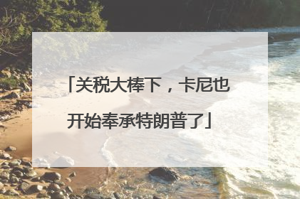关税大棒下，卡尼也开始奉承特朗普了