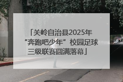 关岭自治县2025年“奔跑吧少年”校园足球三级联赛圆满落幕