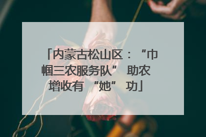 内蒙古松山区：“巾帼三农服务队” 助农增收有 “她” 功