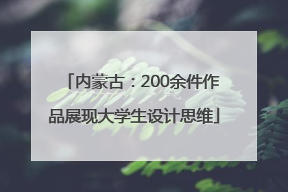 内蒙古：200余件作品展现大学生设计思维