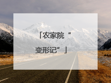农家院“变形记”