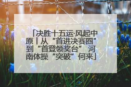 决胜十五运·风起中原丨从“首进决赛圈”到“首登领奖台” 河南体操“突破”何来