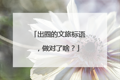 出圈的文旅标语，做对了啥？