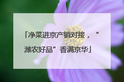 净菜进京产销对接，“潍农好品”香满京华