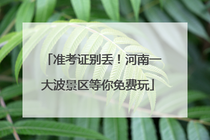准考证别丢！河南一大波景区等你免费玩