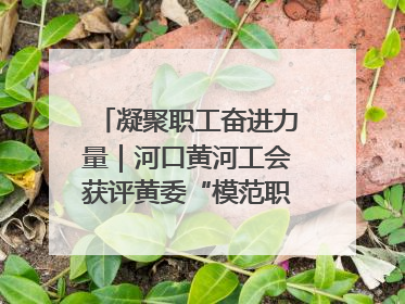 凝聚职工奋进力量｜河口黄河工会获评黄委“模范职工之家”侧记